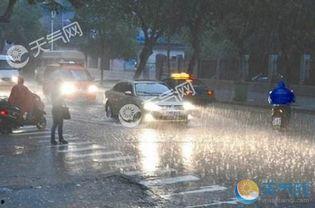 台风大爆料宁波最新消息,台风大爆料，最新动态及应对措施全解析