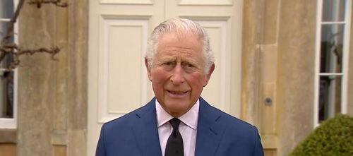 查尔斯最新爆料消息新闻,揭秘不为人知的幕后真相